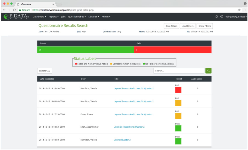 screenshot of E-Data Now Audit Software